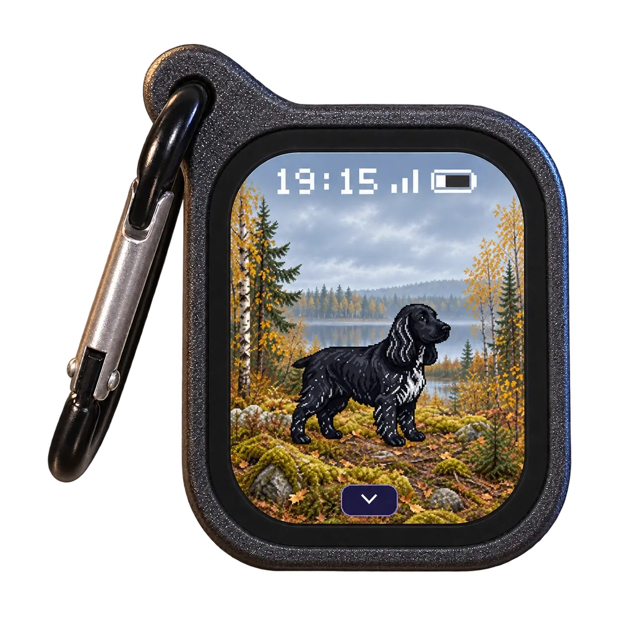 Black Kibi with a carabiner: a dog against an autumn forest and lake