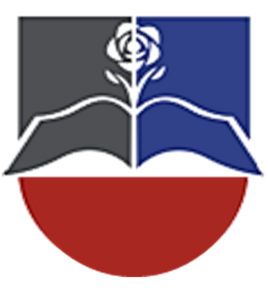website icon