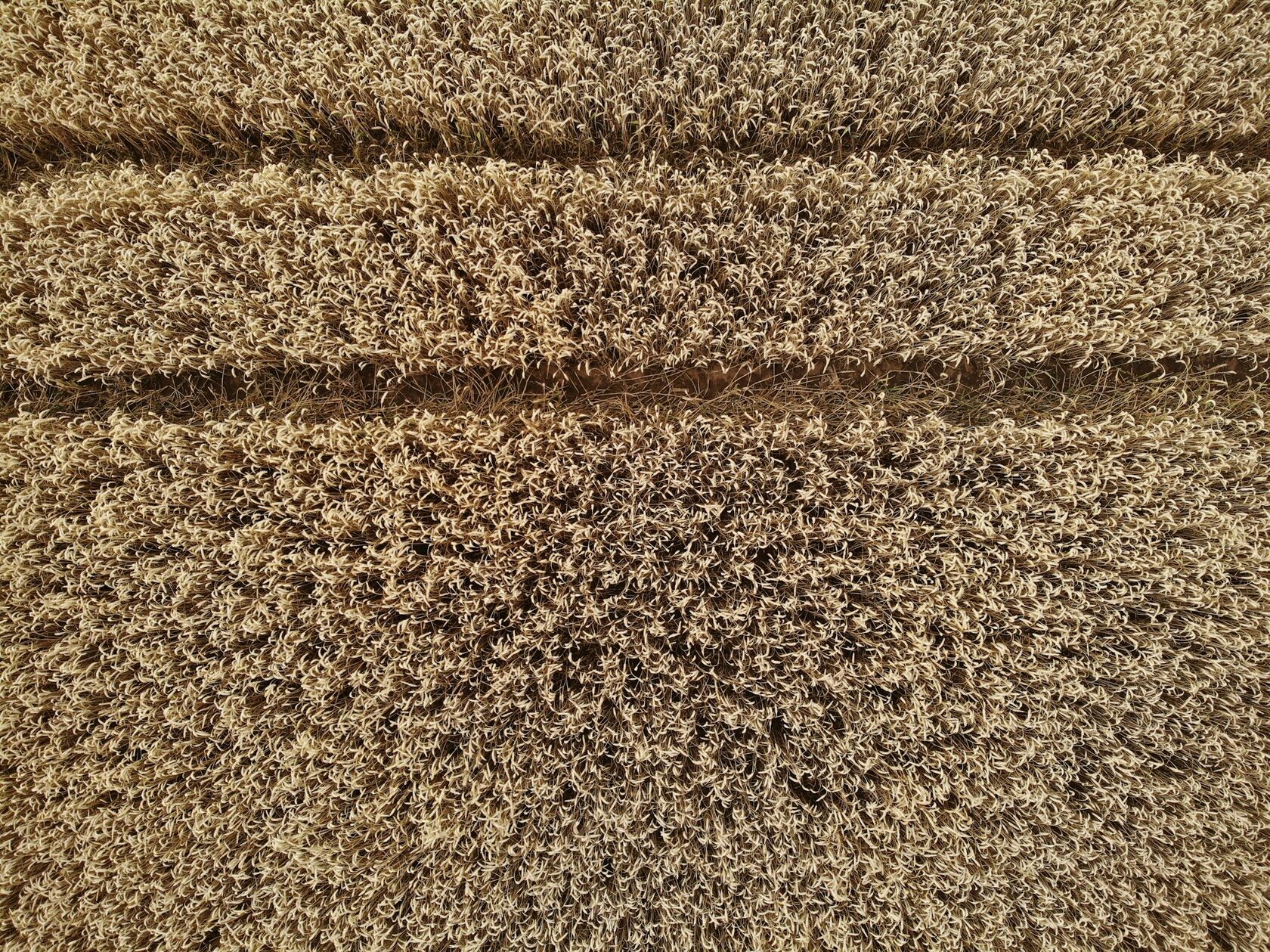 Before cleaning