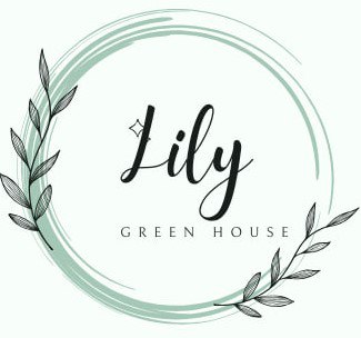 Green House Lily