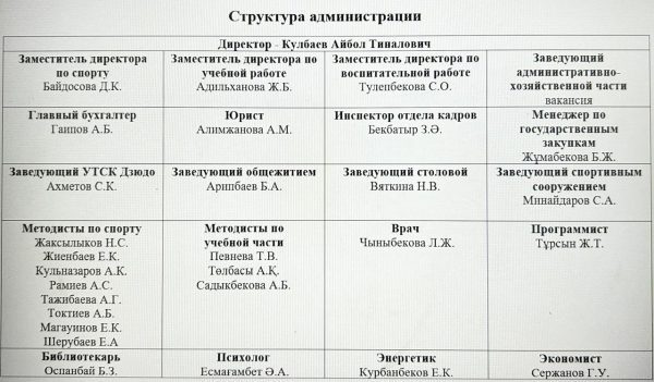 Организационная структура
