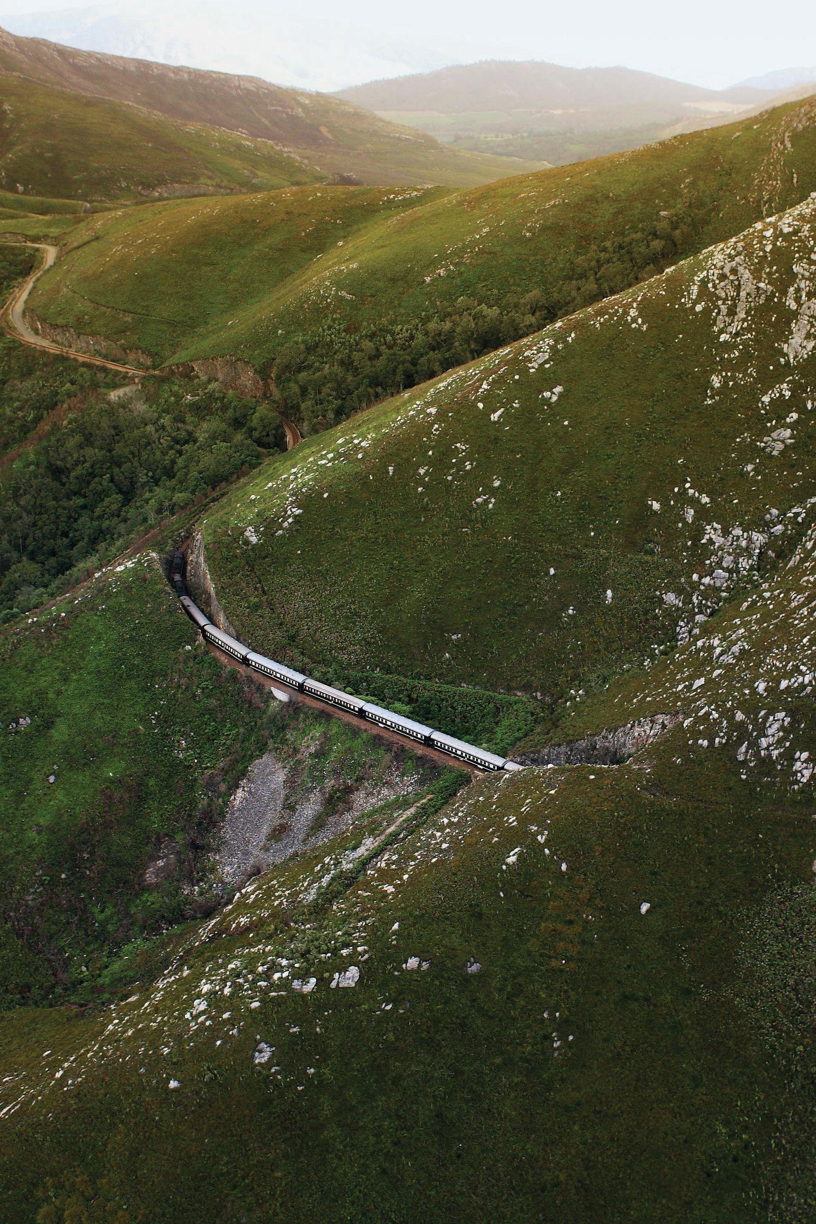 Tren atravesando un paisaje verde