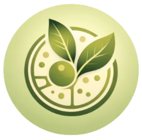 Здоровье через понимание