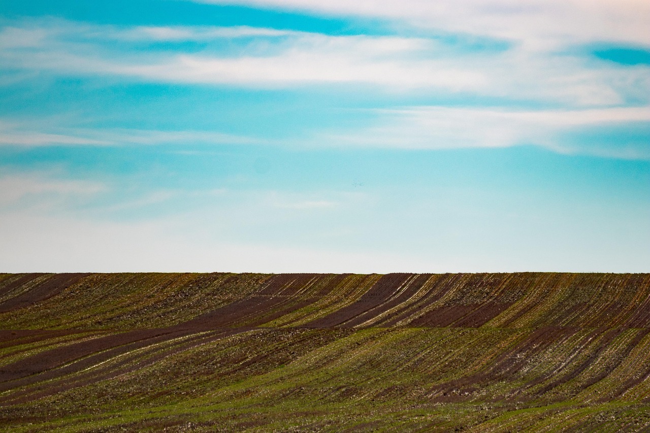 Степные равнины