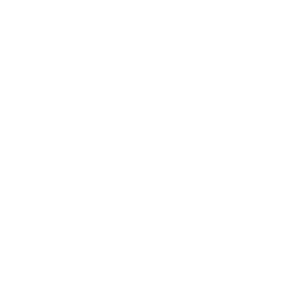 website icon