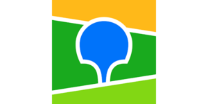 website icon
