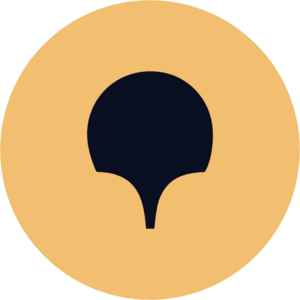 website icon