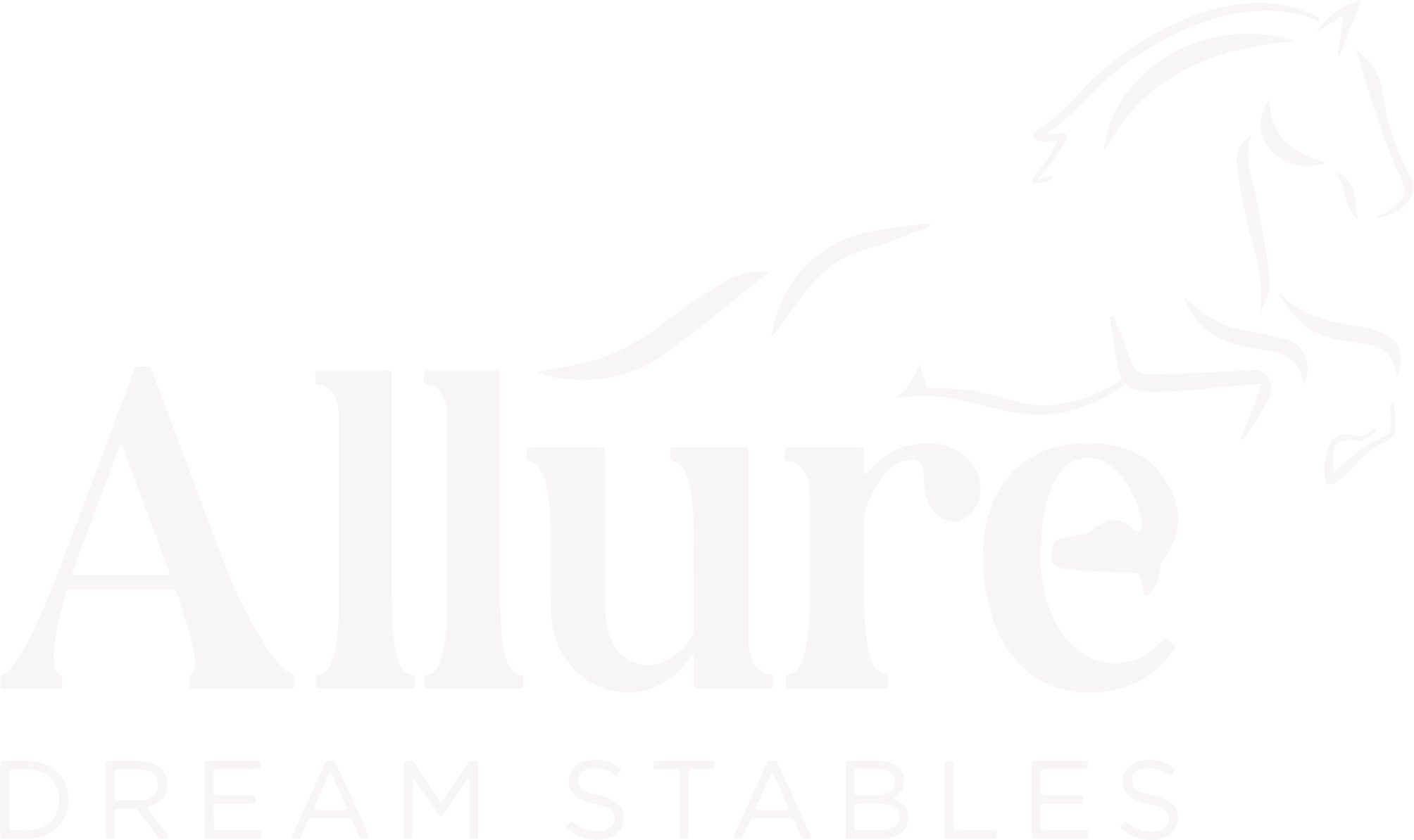 ALLURE DREAM STABLES