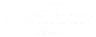 KZM TRADING FZCO