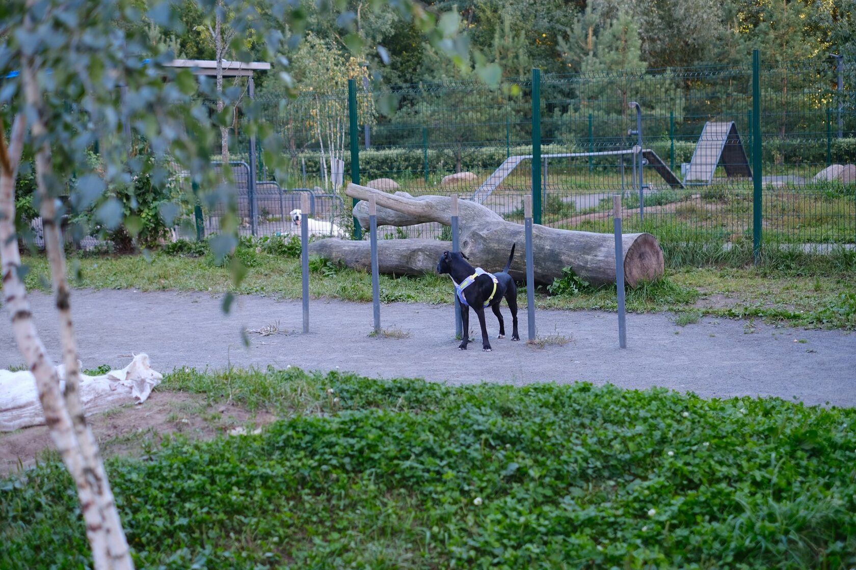 Змейка на площадке