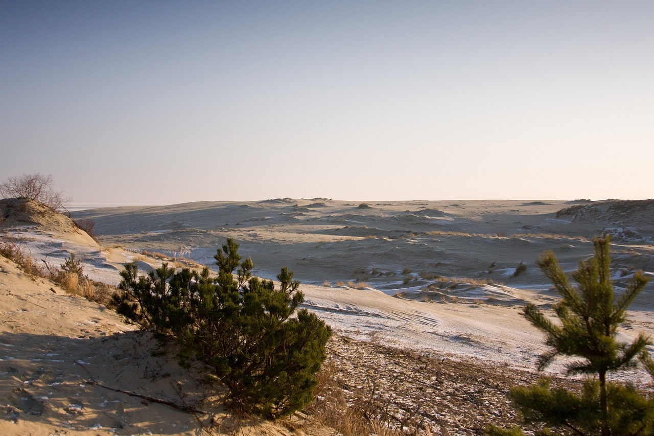 Дюны Куршской косы