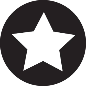 website icon