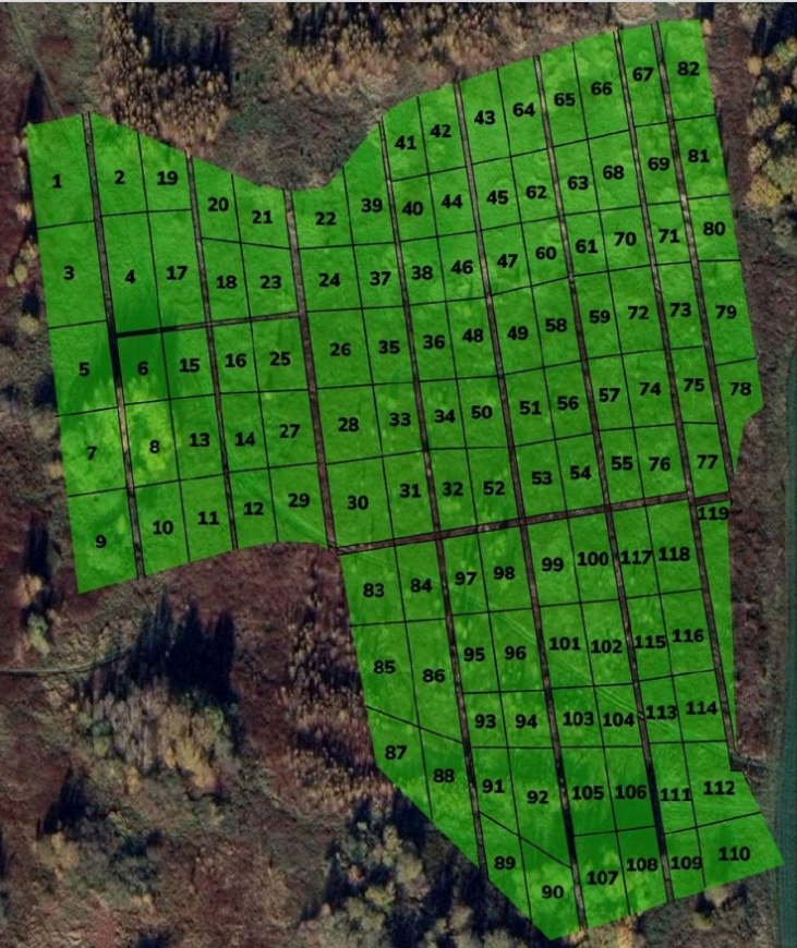 Детальный план участков