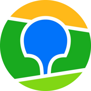 website icon