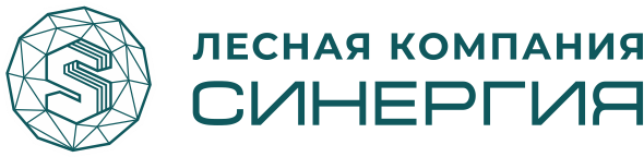 Логотип завода «Синергия»
