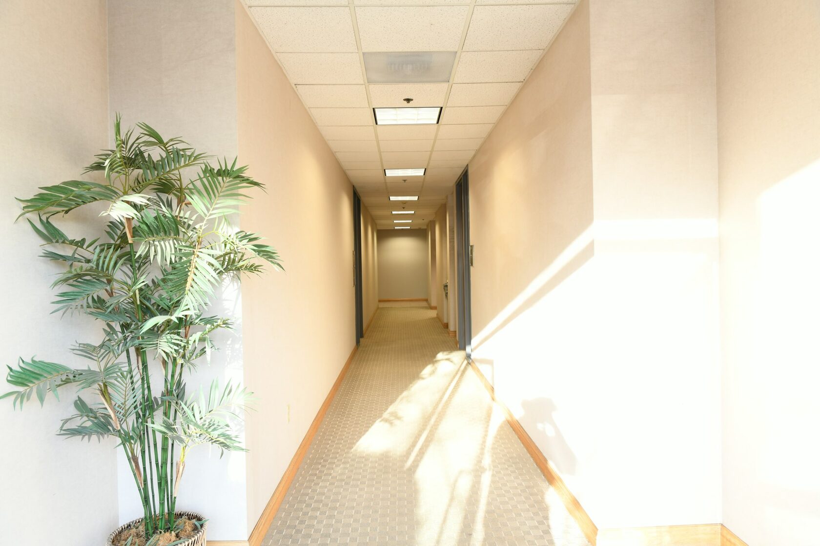 Commercial office carpet cleaning
