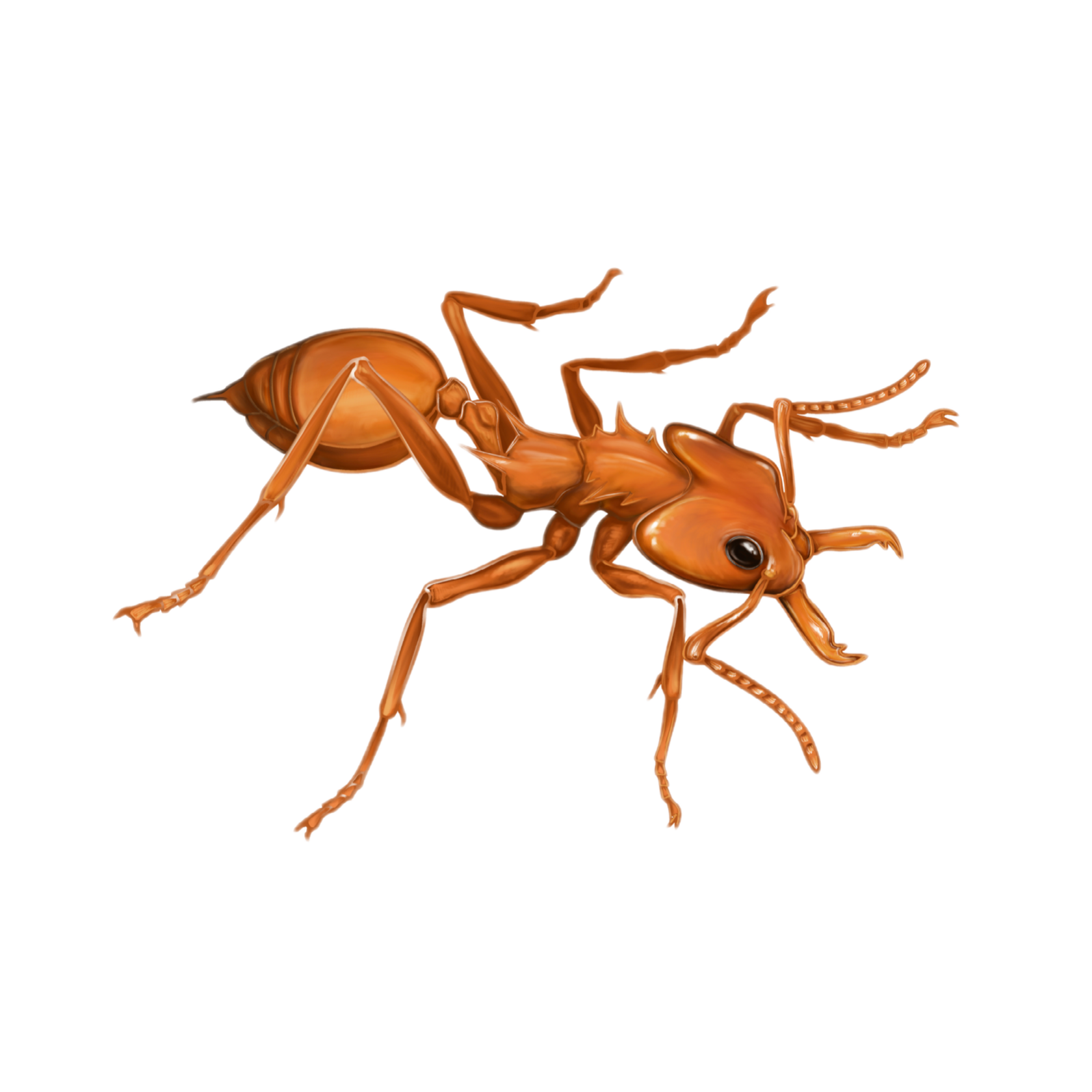 Good Ants